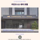 카인드니스 데이 호텔타이난 후기 인생 숙소 등극