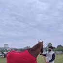 호성목장 이미지