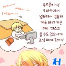 미도번역