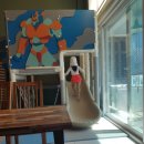 베러 키즈 풀빌라 이미지