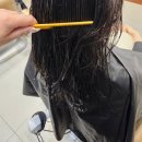 지원헤어클리닉 | 창원 한하루헤어 밀본클리닉 솔직 후기