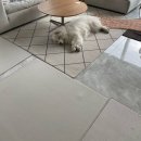 무럭무럭(주) 이미지