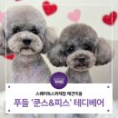 스퀘어독스 위례 이미지