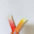 미야옹철 고양이 종합영양제 닥터펠리스 데일리솔루션퍼펙트 후기(내돈내산)