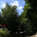 평창 우통수 이미지