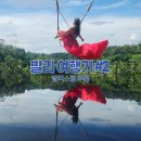 발리 여행 2일차(1) | 아누마나우붓 호텔 조식, 우붓의 꽃, 피치븐 발리 스윙 후기