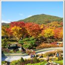 신구대학교 티스토리