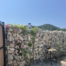 죽변 해심원 온천 이미지