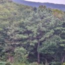 소루지 공원 이미지