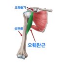 피트니스 오름 이미지