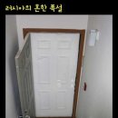 응 이미지