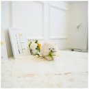 댕댕이 애견샵 이미지