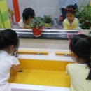 별망초교 이미지