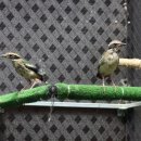 광주광역시야생동물구조관리센터 이미지