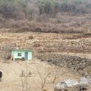 양지고속주유소 이미지