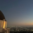 인앤아웃마켓코리아 이미지