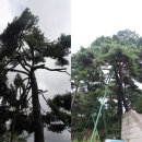 인왕산~북악산(25.9. 20) 연계산행 이미지