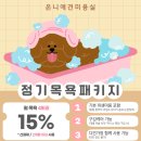 마주봄 애견미용실 | 봄철 강아지 털관리 꿀팁! 연산동 수안동 온천천 온니애견미용실에서 알려드려요
