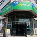 문막농협 | 원주맛집 문막리중국집맛집 도원 탕수육 짜장면 짬뽕 후기