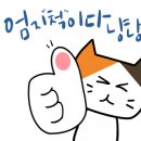 지노몰 이미지
