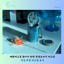 머그머그 | 예쁜머그컵 찾다가 반한 광명도자기 머그잔 직선 뚜껑 머그컵 후기