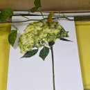 보림밥 정식 뜰 | 전주 고속터미널 근처 맛집 가정식백반 뜰안에 밥상 뜰밥정식