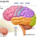 대광발명과학고등학교 이미지