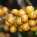 명기농장 이미지