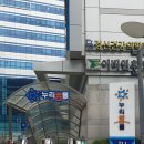 돈카춘 이미지