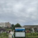 퇴사 후 떠나는 일본 여행 3일차 (세이부유원지 워터파크, 치이카와 팝업스토어, 타코파)