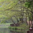 군도14호선 | 영광 가볼만한곳 여행코스 | 모악산 불갑사 백수해안도로 대신등대 | 전남 드라이브코스