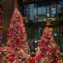 제스트(ZEST) | 콘래드 호텔 제스트 ZEST 디너 뷔페 연말 모임 내돈내산 후기