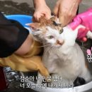 케이퍼스트