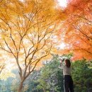 양주시청 이미지