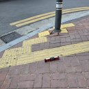 광명로(옥동) 이미지