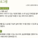 국립대관령자연휴양림 이미지
