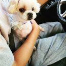 오늘 더 예쁘개 이미지