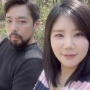 미스터라이팅