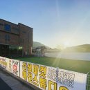 플레이독(애견유치원&호텔) 이미지