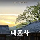 모텔돼지꿈 | 1박2일 청산도 - 해남 여행 필수 코스, 노을 지는 대흥사 | 소망식당 돼지주물럭 맛집