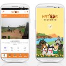 테마 애견 이미지