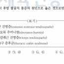 호만골 이미지