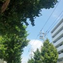 서송정길 이미지