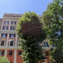 스칼라세탁 | [유럽여행 11] 3주간의 유럽 배낭여행의 마지막 | 로마 3월 날씨 | 내돈내산 로마 숙소 추천...