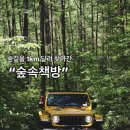 티바두마리치킨인제점 | 인제 필례계곡 '오아시스정글' 캠핑장, 우리끼리 전세캠 했어요
