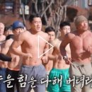 동현미트 - 홍천군 | 동현미트
