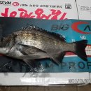 낚시인의 집 이미지