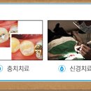 임플란피아치과의원 네이버블로그