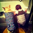 존스홉킨스 동물병원 이미지