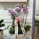 (주)아뜰리에이화 이미지